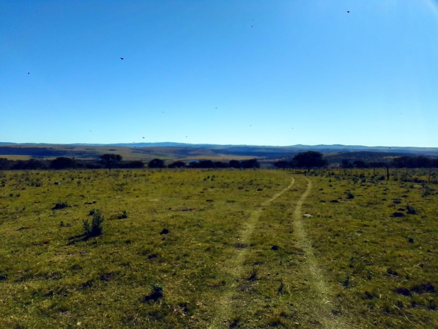 0 Bedroom Property for Sale in Stutterheim Rural Eastern Cape